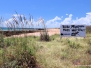 Elcho Island 2019