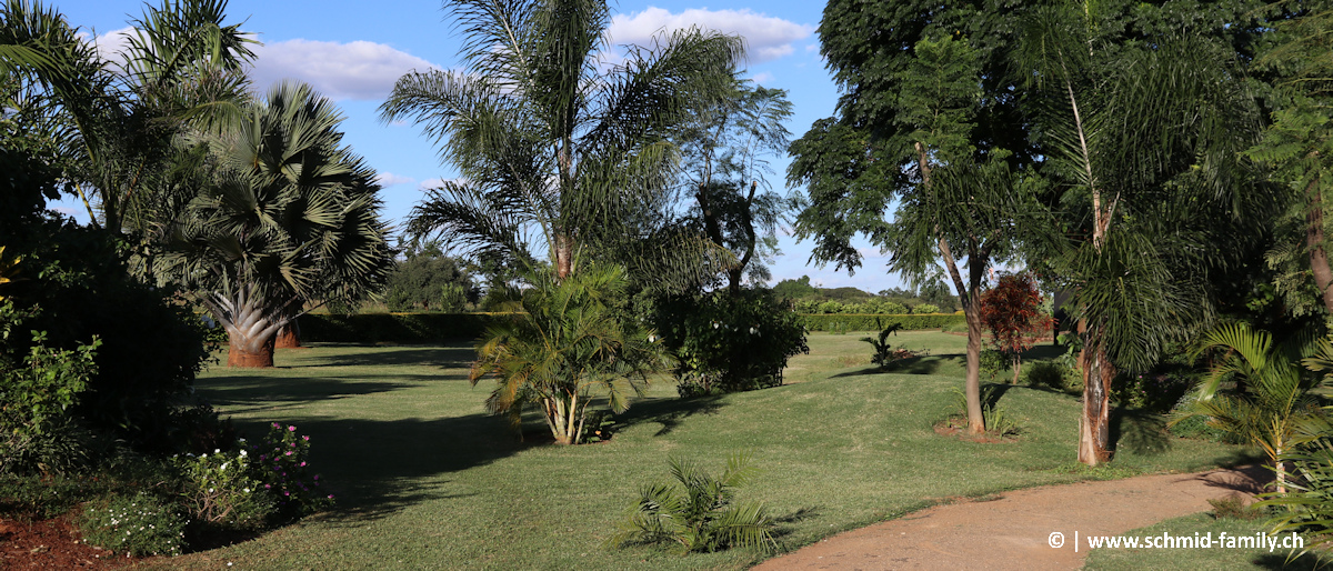 Flying Mission Zambia